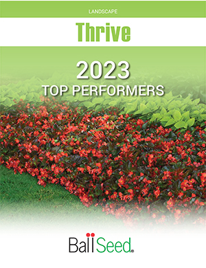 A cover of the THRIVE 2023 Top Performers brochure