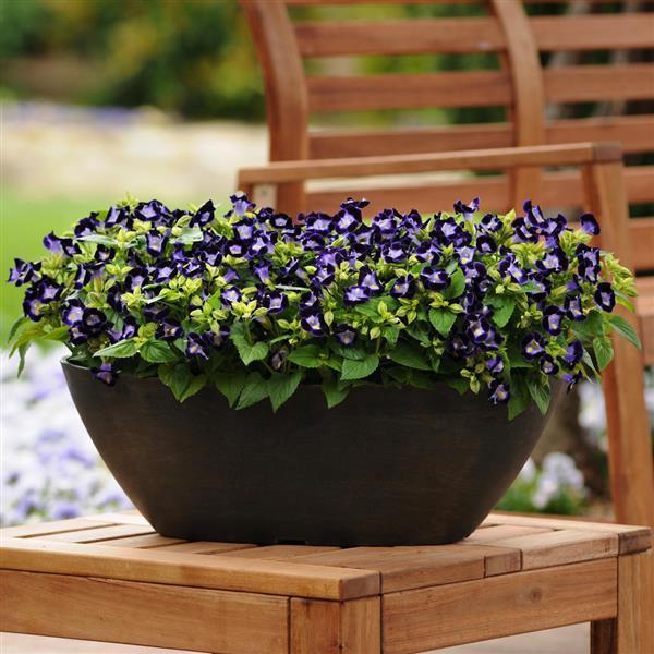 Kauai™ Deep Blue Container