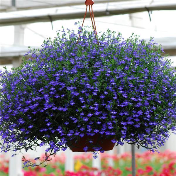 Regatta Midnight Blue Basket