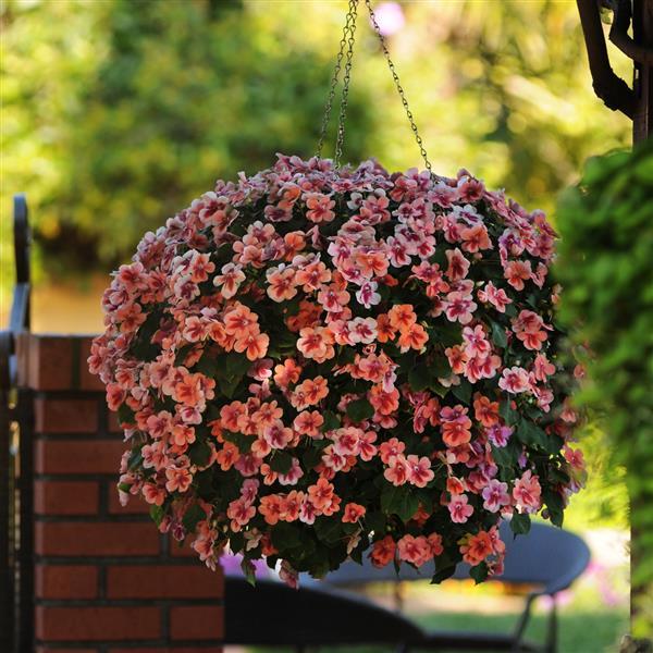 Patchwork™ Peach Prism Basket