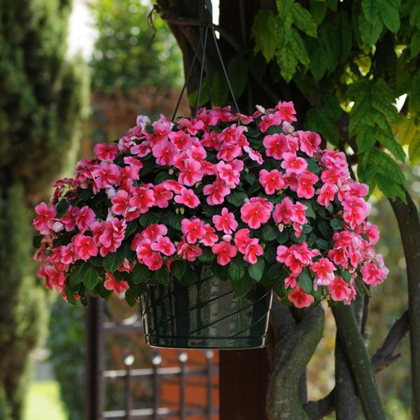 Patchwork™ Pink Shades Basket