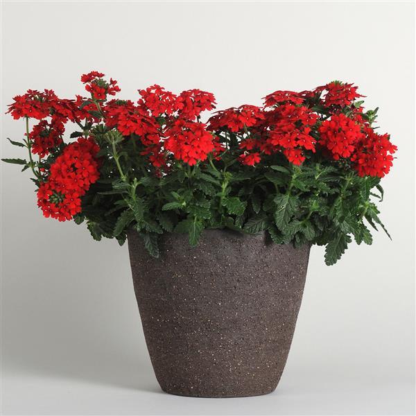 EnduraScape™ Red Container