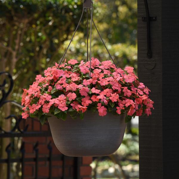 Beacon<sup>®</sup> Coral Basket