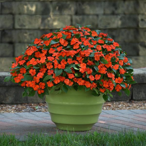 Beacon<sup>®</sup> Orange Container