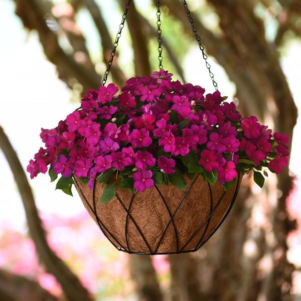 Beacon<sup>®</sup> Violet Shades Basket