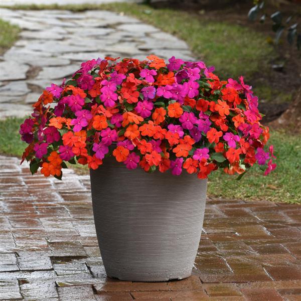 Beacon<sup>®</sup> Sanibel Mixture Container