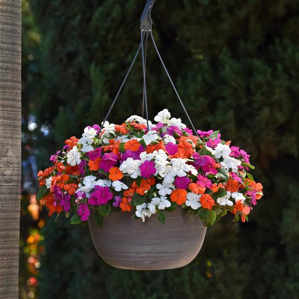 Beacon<sup>®</sup> Lindau Mixture Basket