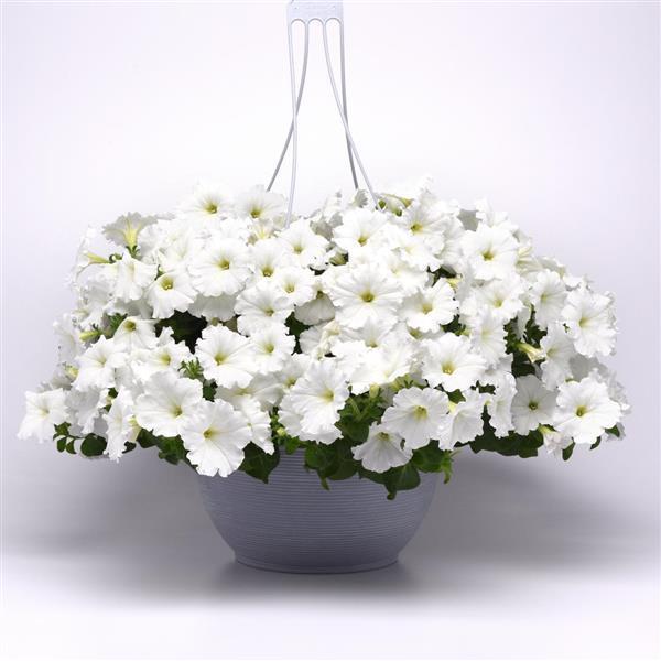Easy Wave<sup>®</sup> White Basket