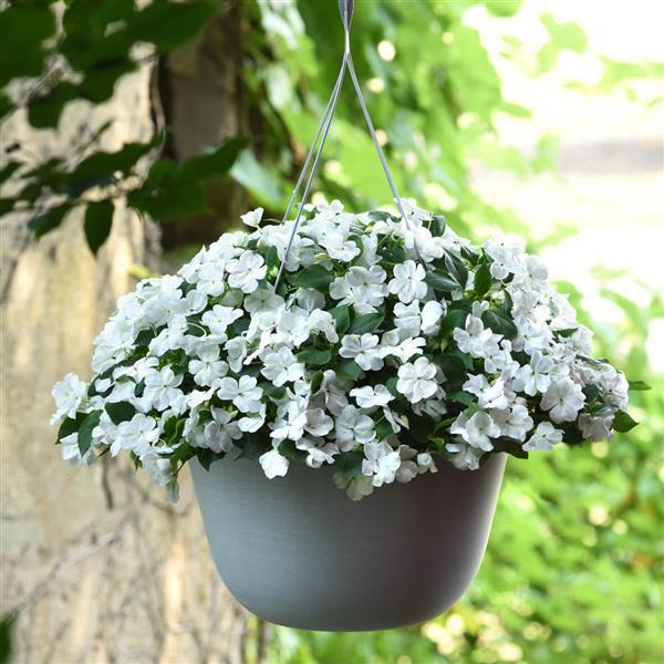 Beacon<sup>®</sup> White Basket