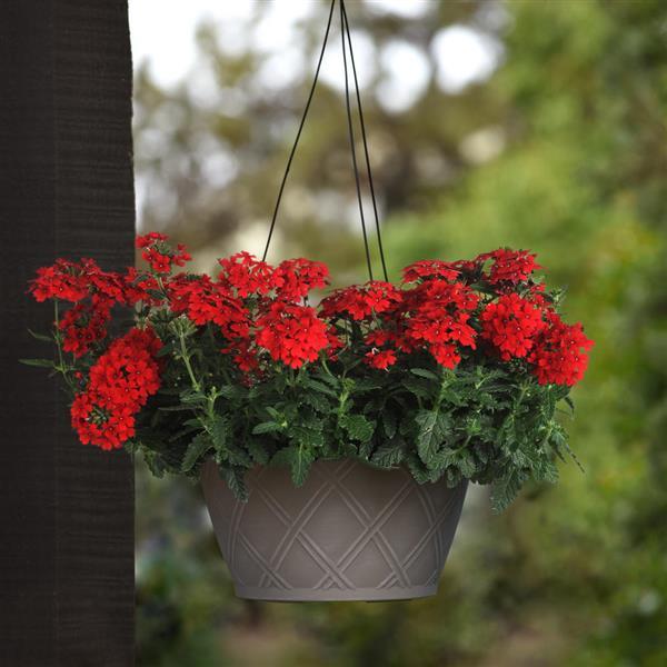 EnduraScape™ Red Basket