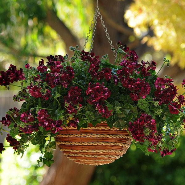 Precision™ Dark Burgundy Basket