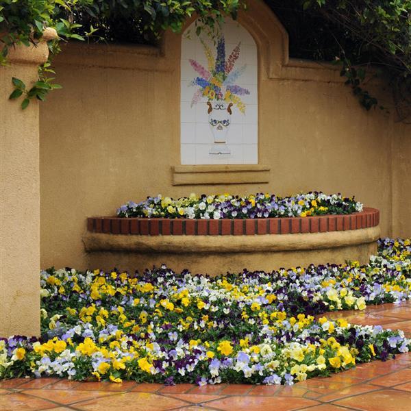 Cool Wave<sup>®</sup> Mixture Commercial Landscape 2