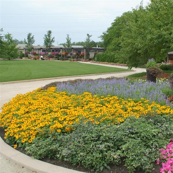 Landmark™ Gold Commercial Landscape 2