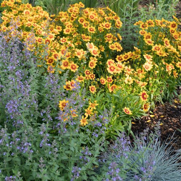 UpTick™ Gold & Bronze Landscape