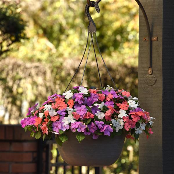 Beacon<sup>®</sup> Pearl Island Mixture Basket