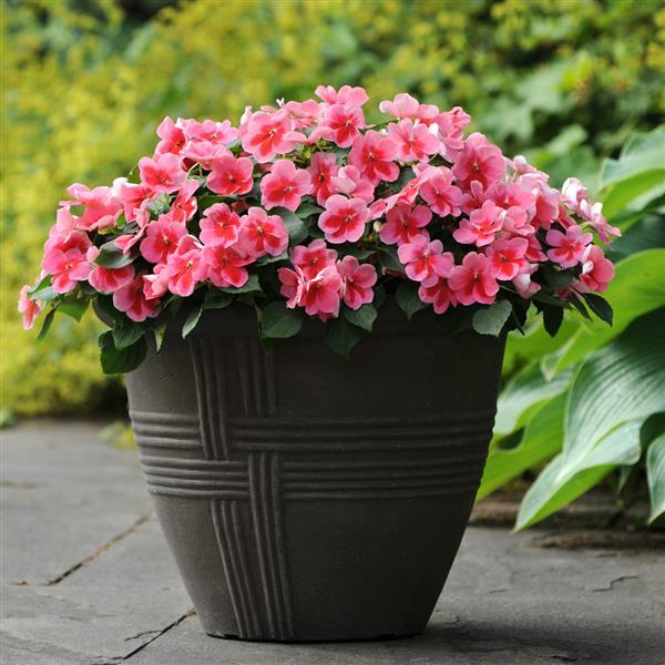 Patchwork™ Pink Shades Container