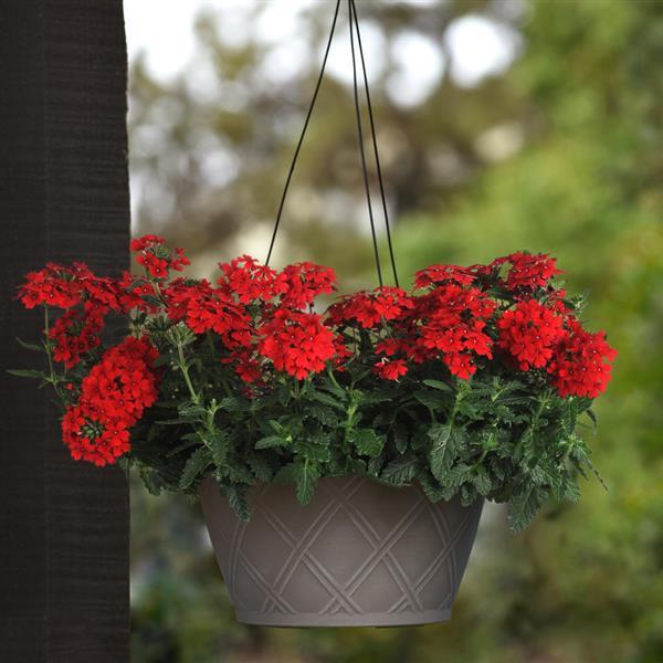 Firehouse™ Red Basket